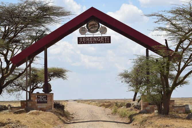Amazing 4 Days Tanzania Budget Camping Group Joining Safari - What camping and meals mean here