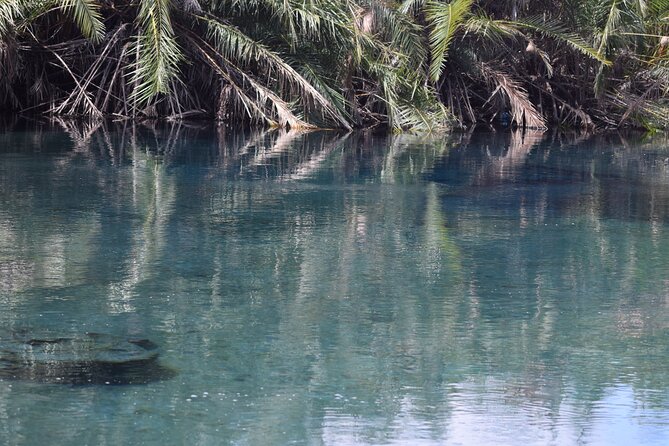 Amazing Chemka (Kikuletwa) Hot Spring Day Trip | BURIGI CHATO SAFARIS CO LTD - Is the $100 price good value?