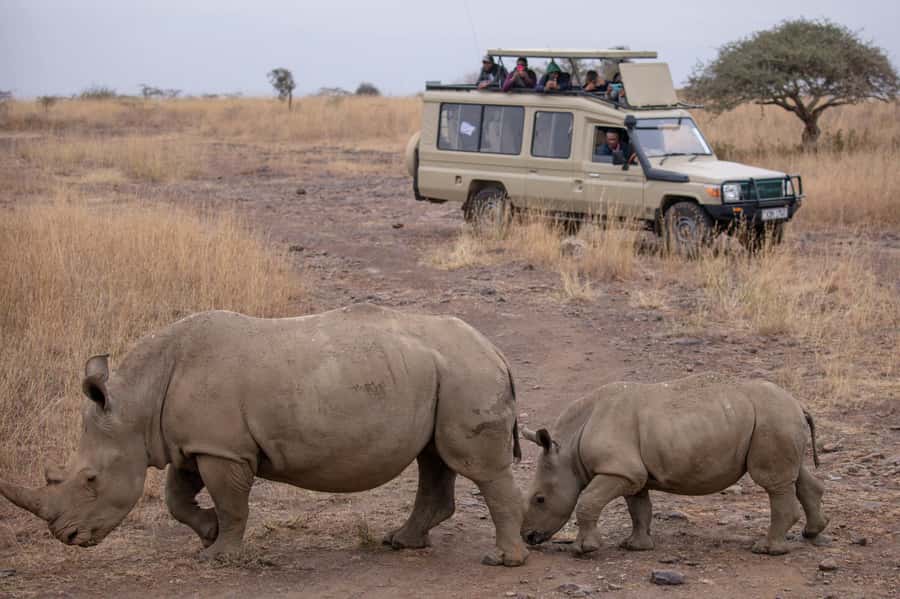 Arusha: 2 Day Tarangire & Ngorongoro Crater Big Five Safari - The vehicle, meals, and daily comfort