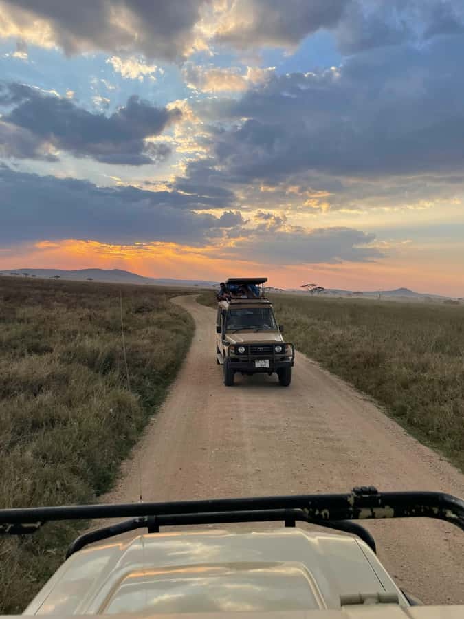 Arusha: 2 Day Tarangire & Ngorongoro Crater Big Five Safari - Who should book this safari