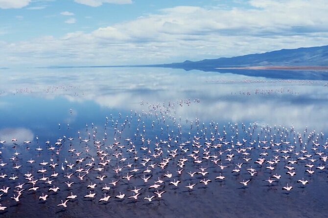 Arusha: 3-Day Safari Tarangire, Flamingo Walk Lake Natron Tour - Who should book this three-day safari?