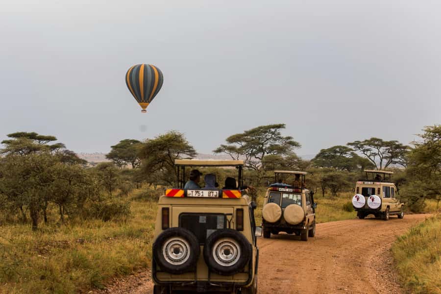 Arusha: 3-Day Serengeti & Ngorongoro Crater Big Five Safari - Day one: entering Serengeti at Naabi Hill Gate