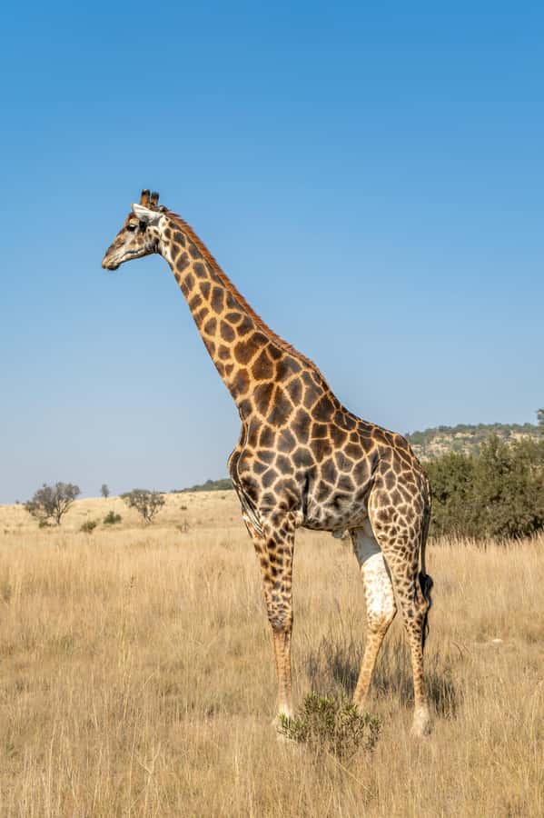 Arusha: 3-Day Serengeti & Ngorongoro Crater Big Five Safari - Is $900 a fair price?