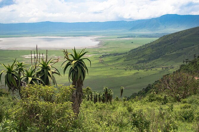 Arusha: 5 days Safari Trip Tarangire, Lake Manyara and Ngorongoro - Key points to know before booking