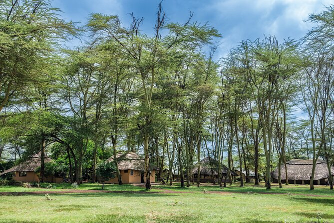 Arusha: 5 days Safari Trip Tarangire, Lake Manyara and Ngorongoro - Why this Northern Circuit route works in five days