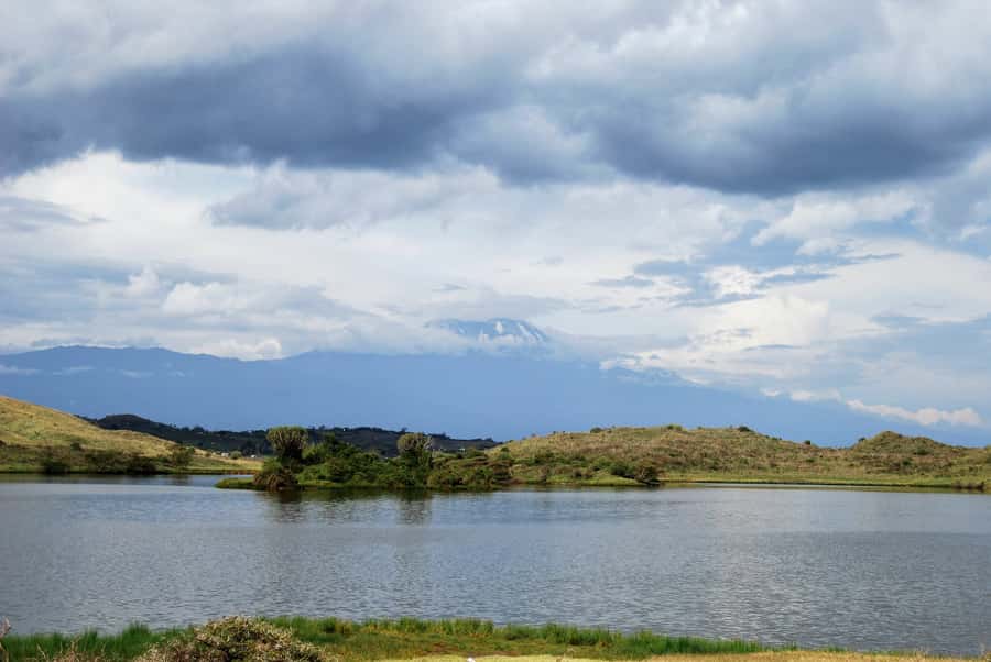 Arusha: Arusha National Park Day Trip w/ Game Drives & Lunch - Who should book this private safari