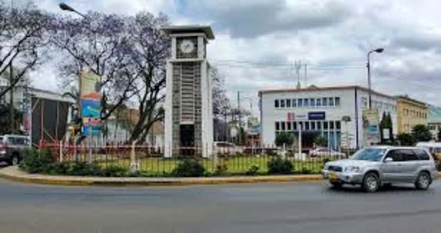 Arusha: City Walking Tour Historic and Modern Highlights - Starting at Soko Kuu Central Market