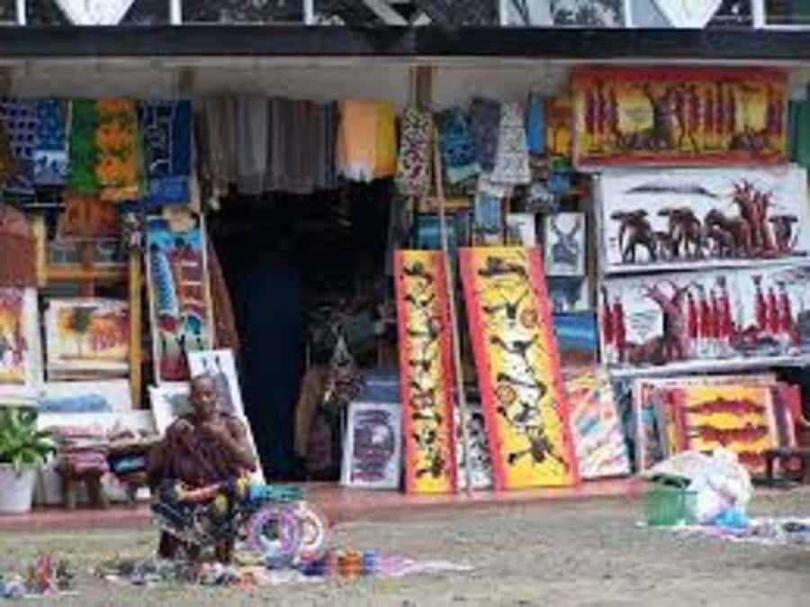 Arusha: City Walking Tour Historic and Modern Highlights - Inside the Natural History Museum’s old fort
