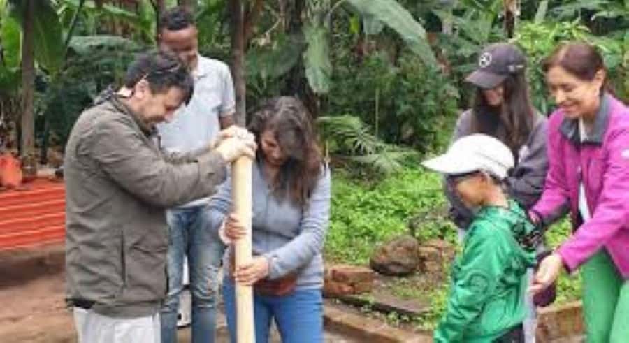 Arusha: Coffee Plantation Tour with Tasting and Hands-On … - Key points at a glance