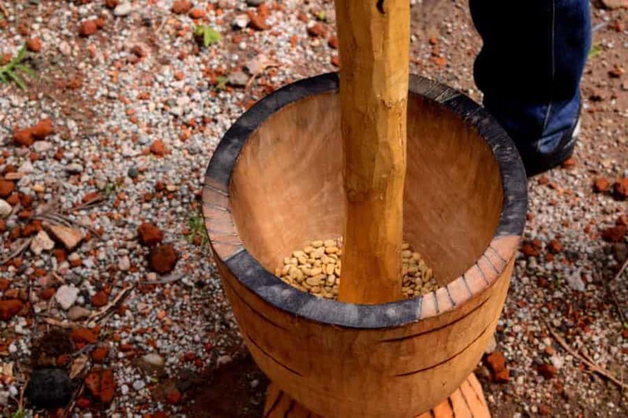 Arusha: Coffee Plantation Tour with Tasting and Hands-On … - Starting at Arusha’s Clock Tower