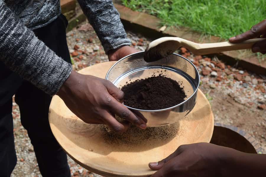 Arusha: Coffee Tour - Key points to know before you book