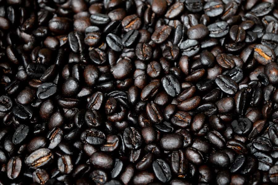 Arusha: Coffee Tour - Brewing the coffee you helped prepare