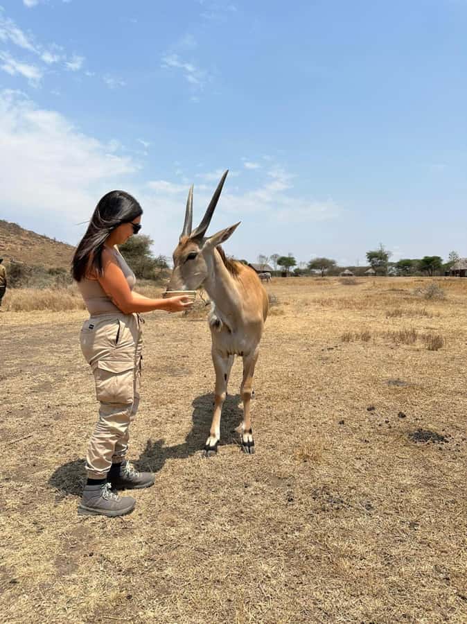 Arusha: Day Trip to Serval Wildlife - Feed Giraffes & Lions - Arriving at Serval Wildlife Sanctuary