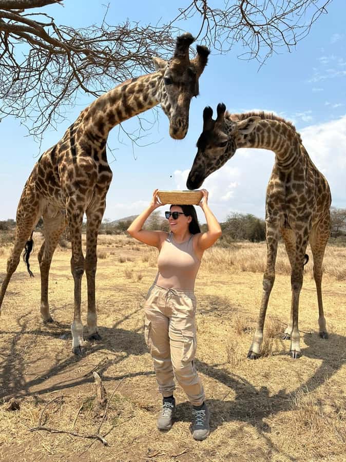 Arusha: Day Trip to Serval Wildlife - Feed Giraffes & Lions - Feeding giraffes, zebras, and antelopes