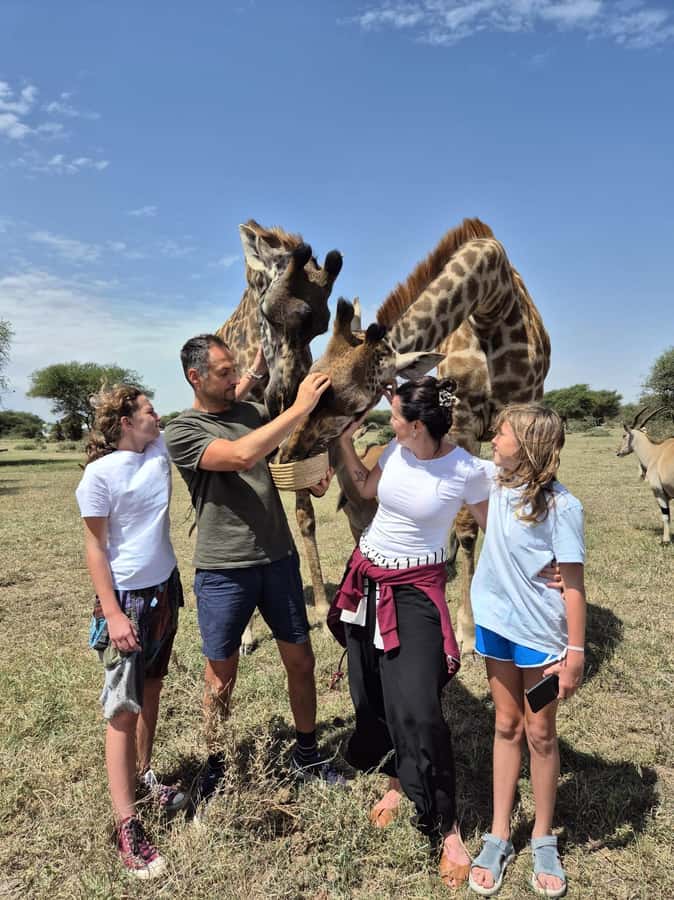 Arusha: Day Trip to Serval Wildlife - Feed Giraffes & Lions - Walking beyond the feeding areas