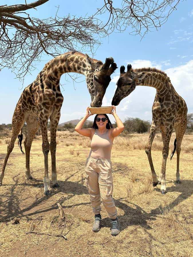 Arusha: Day Trip to Serval Wildlife - Feed Giraffes & Lions - The morning pickup and road from Arusha or Moshi
