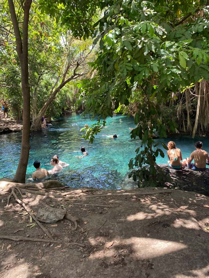 Arusha: Kikuletwa Hot Springs Day Trip with Transport - Why this spring day trip works