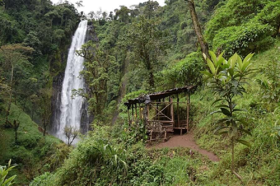 Arusha: Materuni Waterfalls, Coffee, and Hotsprings Tour - The Materuni Falls walk