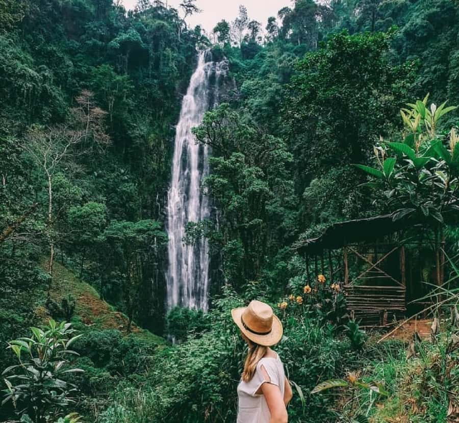 Arusha: Materuni Waterfalls, Coffee, and Hotsprings Tour - Reaching Materuni Village from Moshi