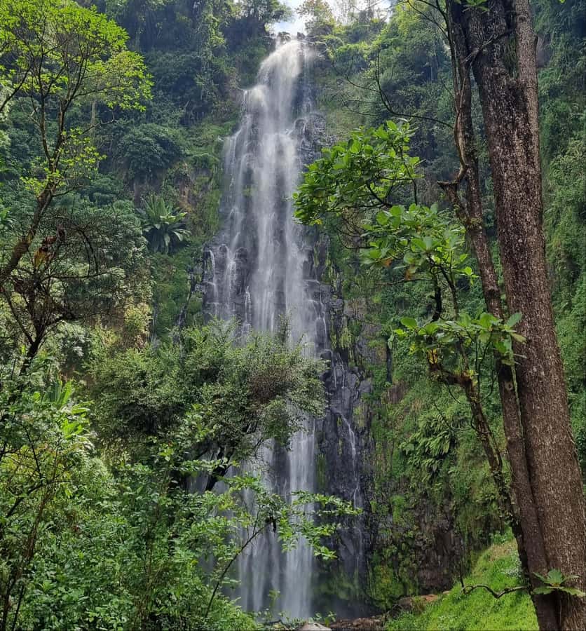 Arusha: Materuni Waterfalls, Hot Springs and/or Coffee Tour - The walk to Materuni Waterfall