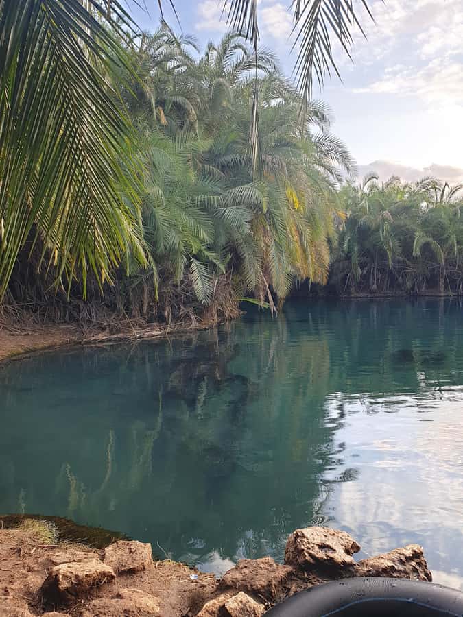Arusha: Materuni Waterfalls, Hot Springs and/or Coffee Tour - A coffee lesson from bean to cup