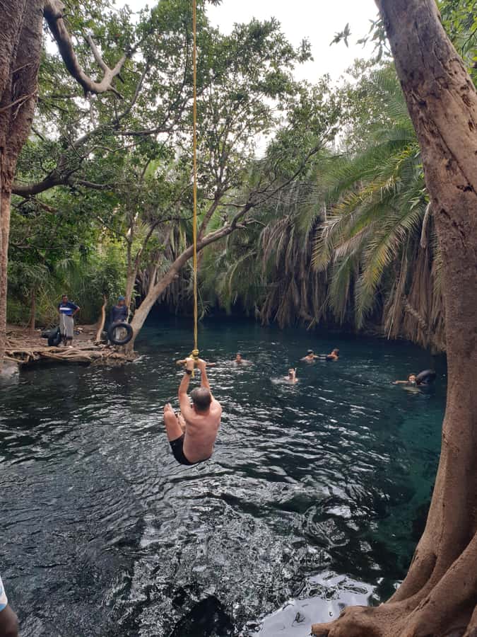 Arusha: Materuni Waterfalls, Hot Springs and/or Coffee Tour - Lunch with typical Tanzanian dishes