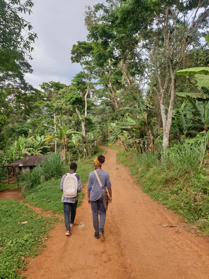 Arusha: Materuni Waterfalls, Hot Springs and/or Coffee Tour - The final stop at Chemka or Kikuletwa Hot Springs