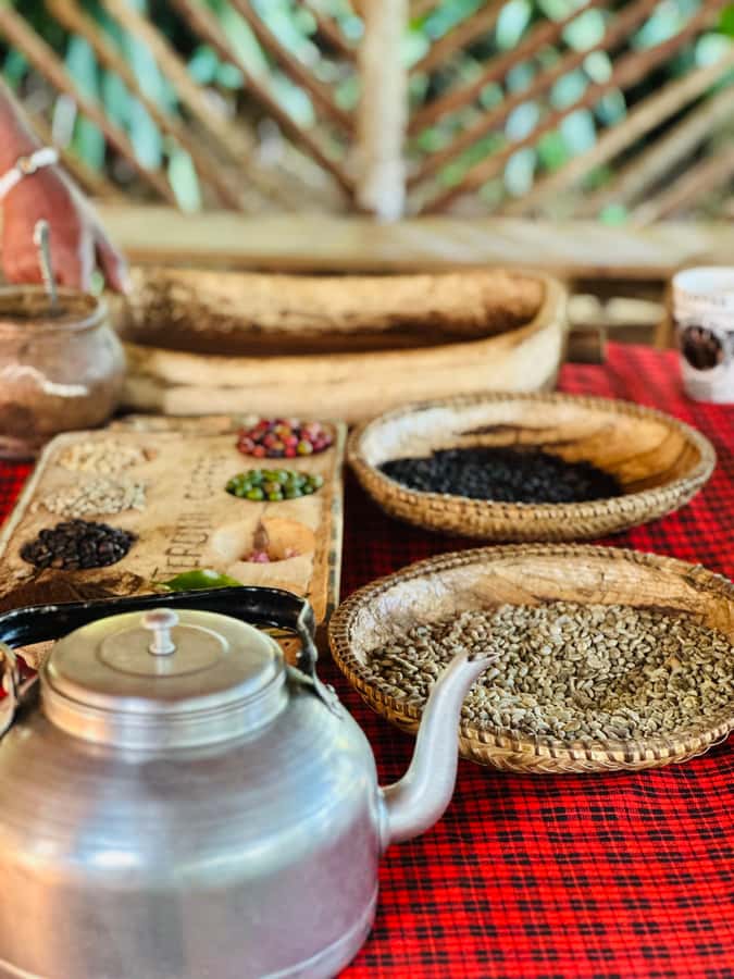 Arusha: Materuni Waterfalls, Hot Springs and/or Coffee Tour - What the $53 price really covers