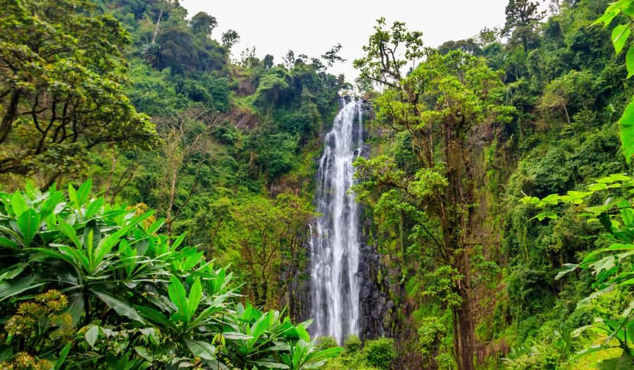 Arusha: Materuni Waterfalls, Hot Springs and/or Coffee Tour - Who should book this Materuni day?