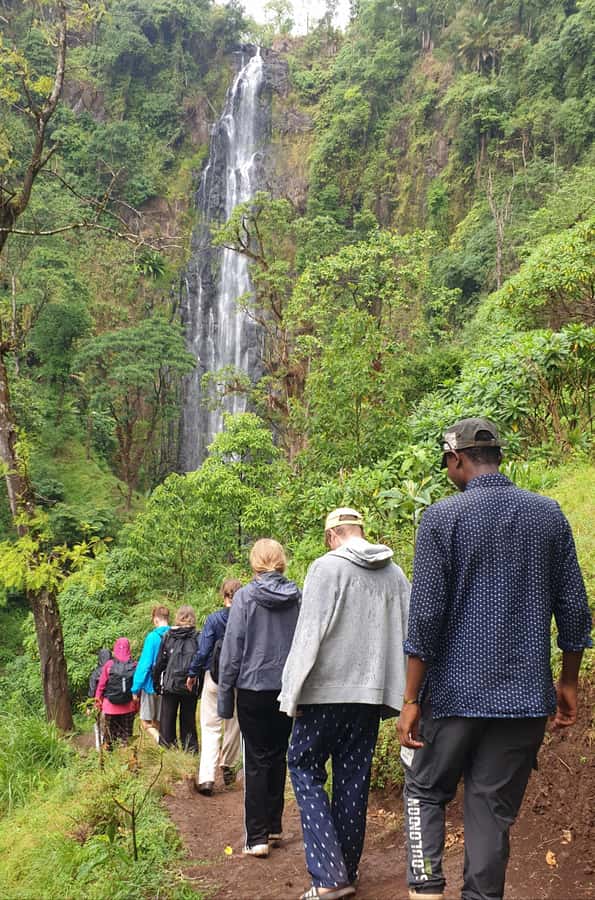 Arusha: Materuni Waterfalls, Hot Springs and/or Coffee Tour - From Arusha or Moshi to Materuni village