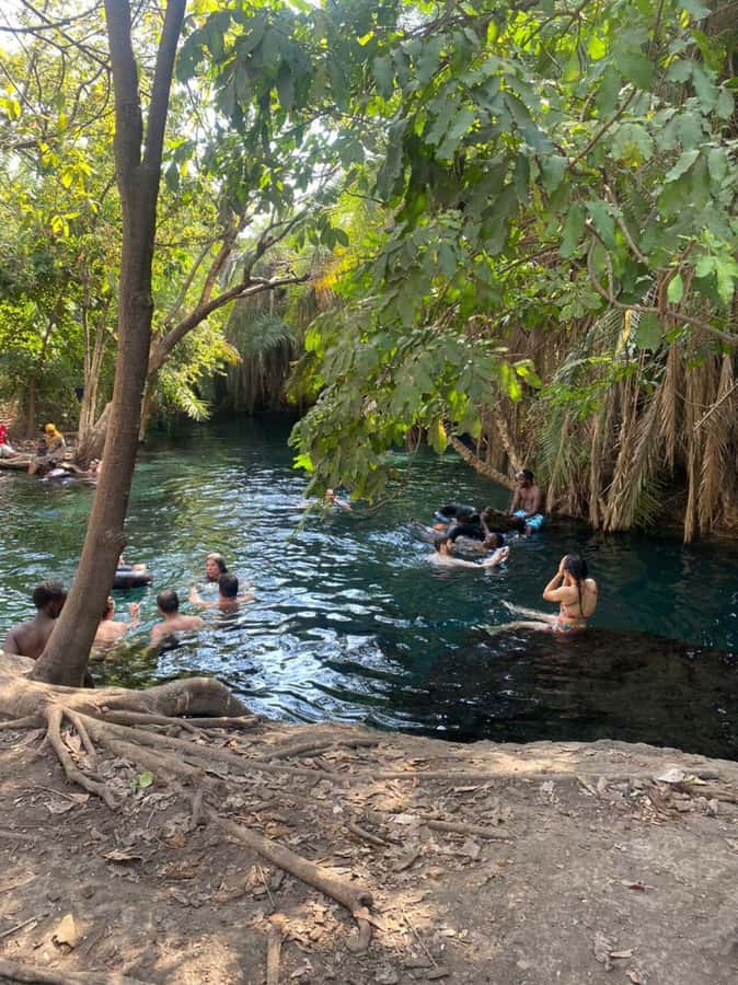 Arusha/Moshi Hot Springs Tour (Chemka) by Kingstone Asilia - Should you book Kingstone Asilia’s Chemka tour?