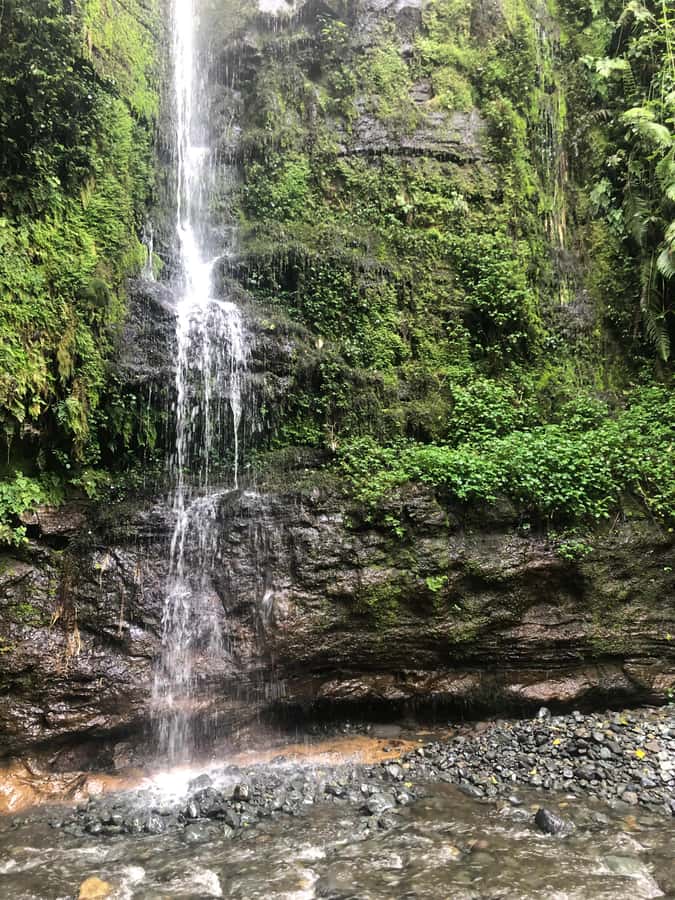 Arusha: Napuru Waterfalls Guided Hike - Choosing the right guide and setting expectations