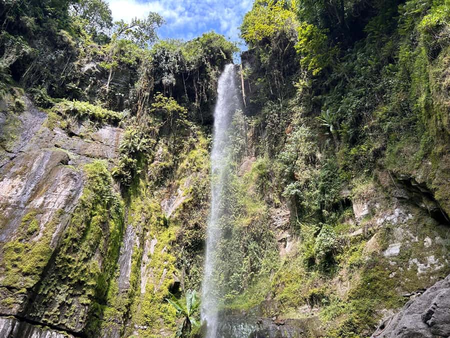 Arusha: Napuru Waterfalls Guided Hike - Hotel pickup and the first part of the route