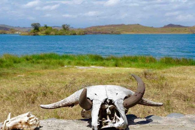 Arusha National Park Day Trip - The 4x4 drive toward Momela Lakes