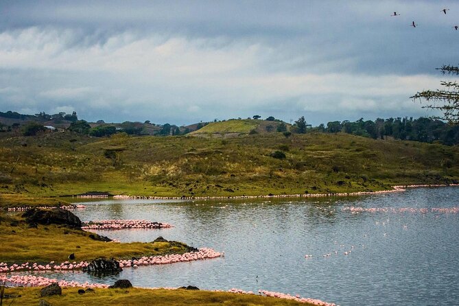 Arusha National Park Guided Day Tour from Arusha - The afternoon game drive in a compact park