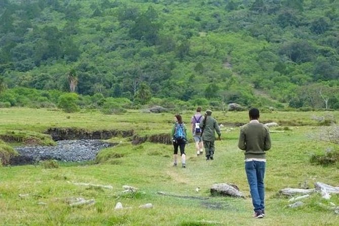 Arusha National Park Guided Day Tour from Arusha - What the $345.34 price covers