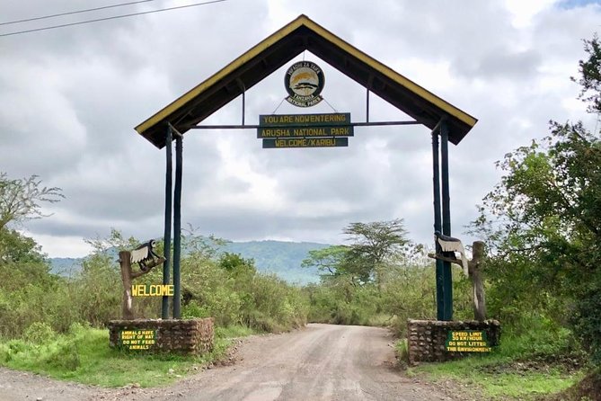 Arusha National Park Guided Day Tour from Arusha - The 8am pickup and drive from Arusha