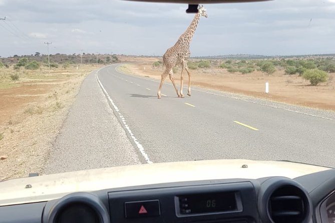 Arusha National Park Half Day Tour - Why Arusha National Park works for a short safari