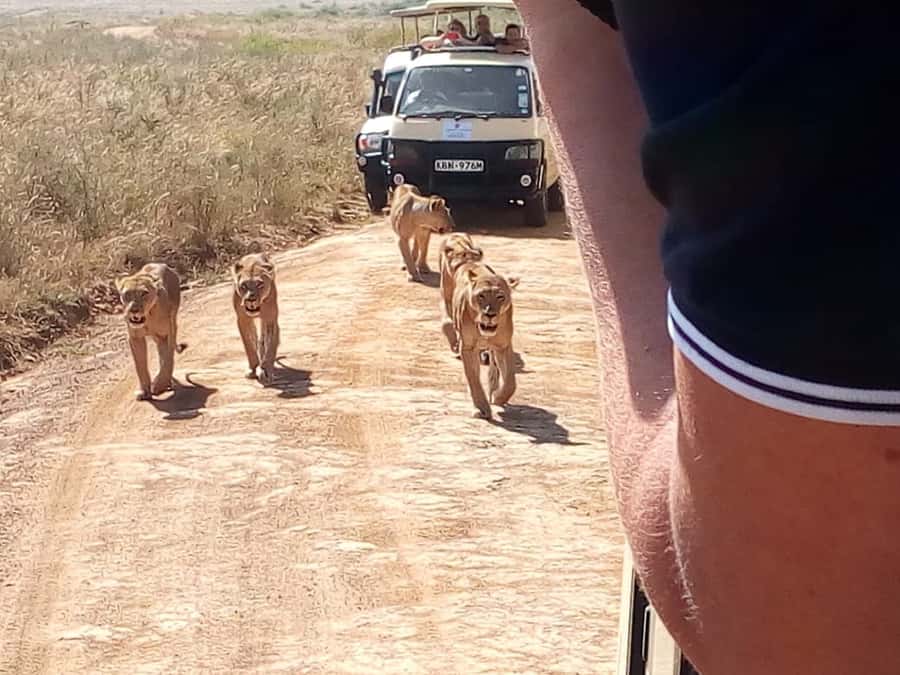 Arusha National Park: Private Jeep Tour - Key points to know before you book