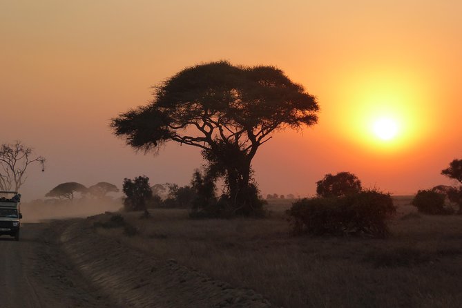 Arusha National Park Safari by Jeep - Leaving Arusha in a private Land Cruiser
