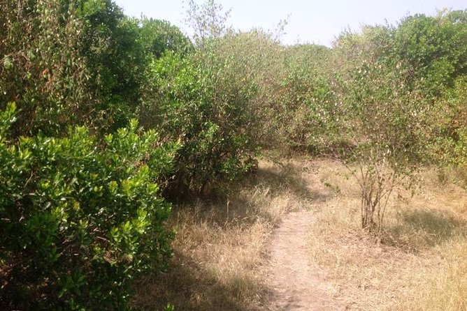 Arusha National Park Safari by Jeep - Who should book this safari