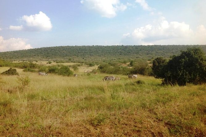 Arusha National Park Safari by Jeep - Practical details that affect your day