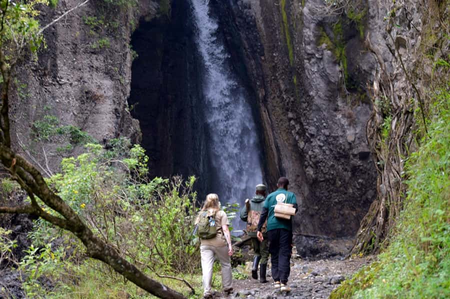 Arusha National Park: Walking Safari and Game Drive - Why Arusha National Park makes a good first safari day