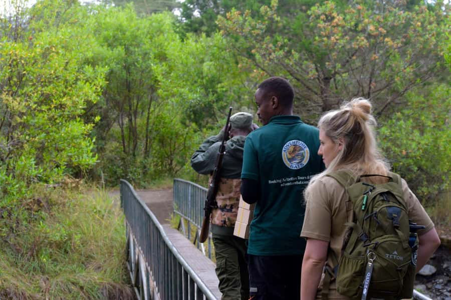 Arusha National Park: Walking Safari and Game Drive - The first game drive: giraffes, buffalo, and open marsh