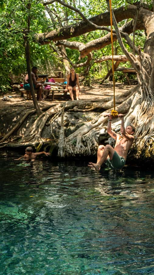 Arusha or Moshi : Hot Spring, Waterfall & Coffee Farm Tour - Who should book this experience