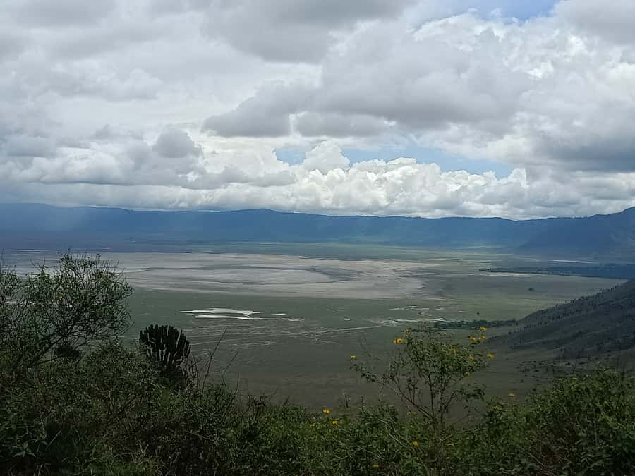 Arusha: Serengeti and Ngorongoro Multi-Day Camping Safari - Day 2: A full day searching the Serengeti