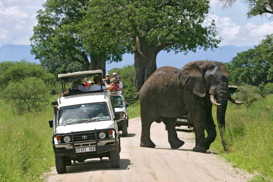 Arusha: Tarangire National Park Full-Day Wildlife Safari - Entering a park shaped by the Tarangire River