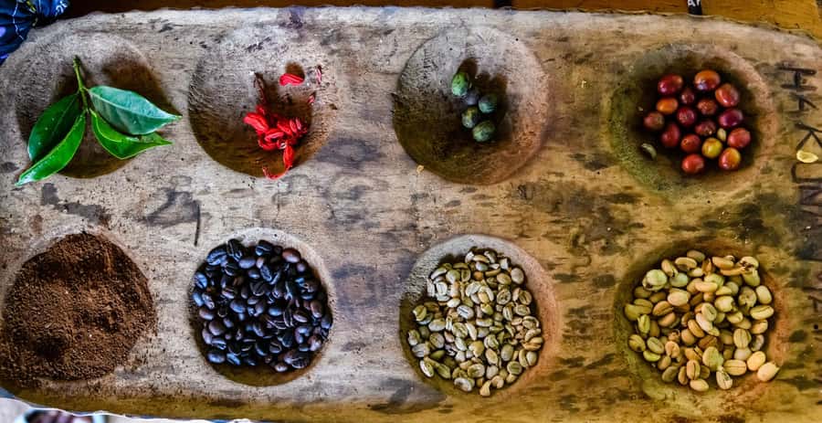 Arusha: Traditional Coffee Preparation(coffee tour) - The bean-to-cup process by hand