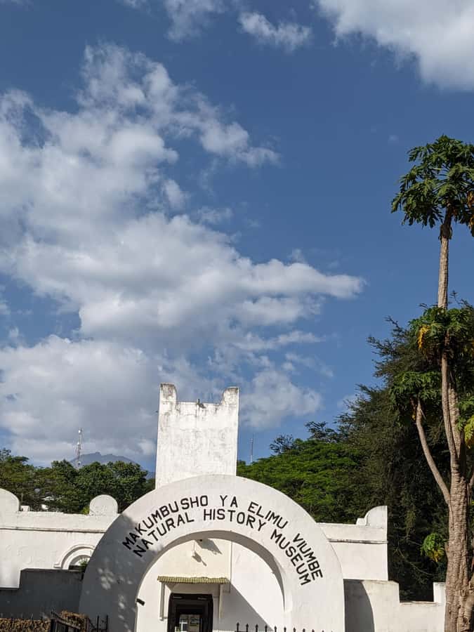 Arusha; Walking City Tour History, Culture & Lifestyle - The Central Food Market and local flavors