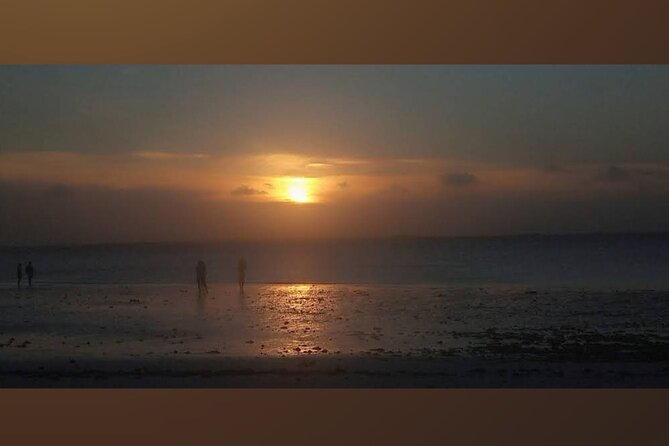 Baraka Aquarium and Dolphin Sightseeing with Sunset Cruise - A Nungwi dhow at sunset